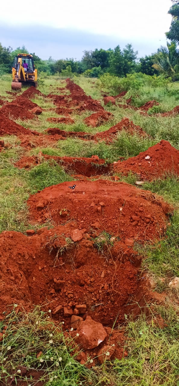 Promoting Green Revolution Project